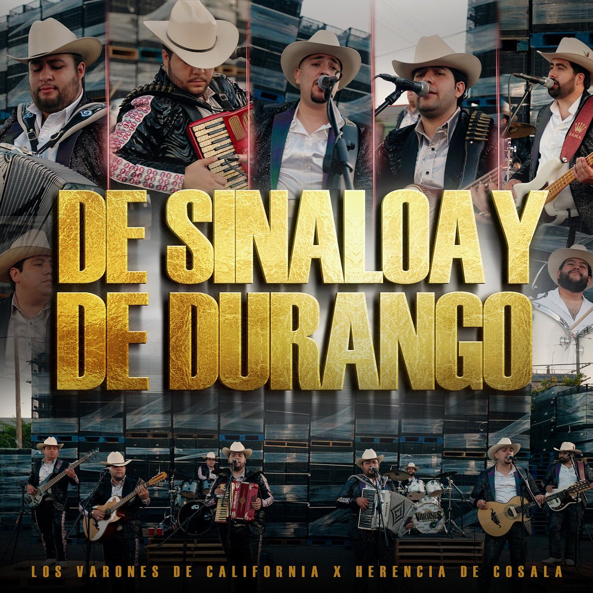 FT Music Oficial tweet media