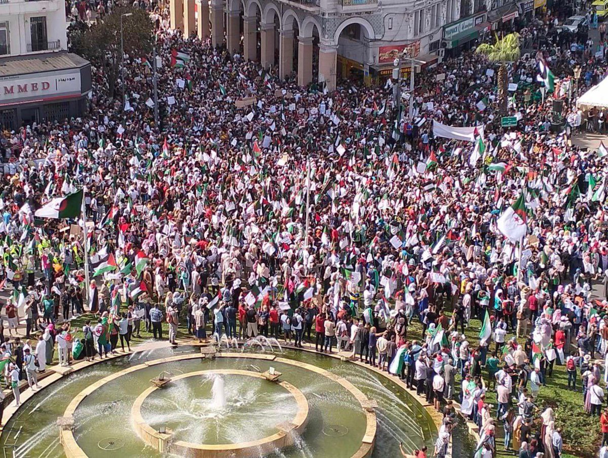 SaraReyi's tweet photo. Human flood in Algeria; In support of Gaza https://t.co/WFYmQfThN4
