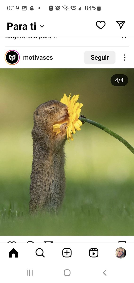 Buenas noches, amigos.Hoy os quería dejar estás fotos que me parecen maravillosas.
Con mi cariño.