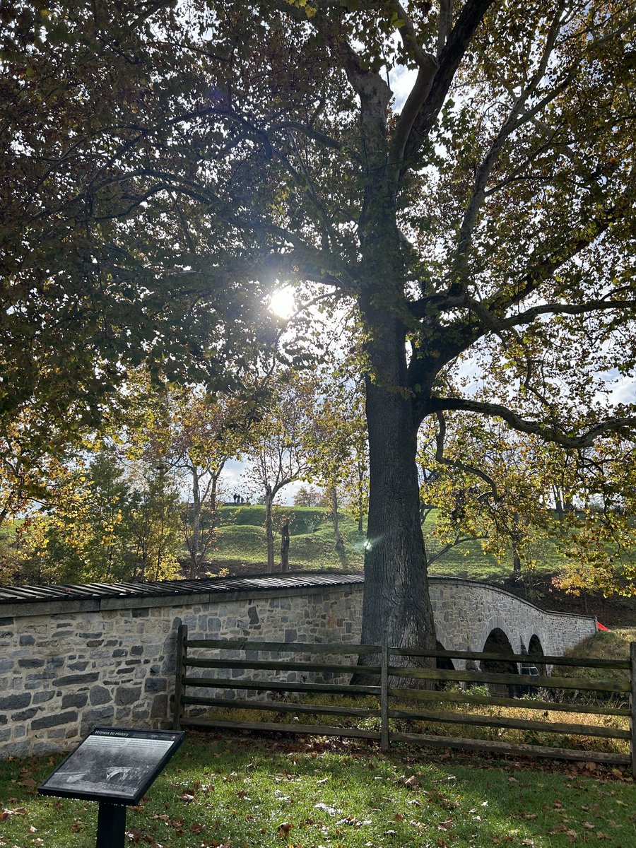 TomMcMillan63's tweet photo. The “Burnside Sycamore” witness tree, and the Burnside Bridge, following a gentle fall rain at Antietam National Battlefield. It’s a different perspective of an image that never gets old. (Yes, this tree was there during the battle in 1862!) https://t.co/0Gi6kG4X6t