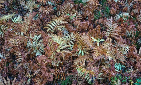 Harry Foster tweet media