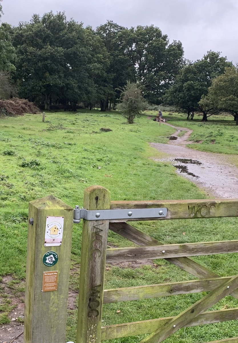 wanderlost_the's tweet photo. Out and about on a soggy Geopark Way …. #GeoparkWay
#Worcestershire
@worcscc @HWEarthHeritage https://t.co/MUE0bCXX3e