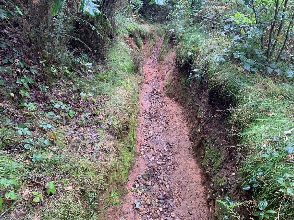 wanderlost_the's tweet photo. Out and about on a soggy Geopark Way …. #GeoparkWay
#Worcestershire
@worcscc @HWEarthHeritage https://t.co/MUE0bCXX3e