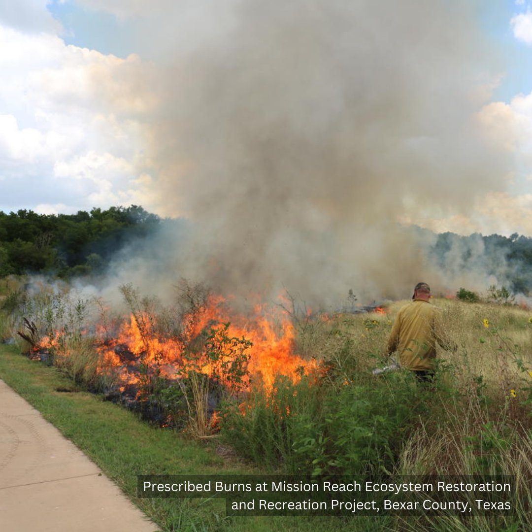 Ecological restoration is an essential practice for preserving biodiversity and restoring degraded ecosystems. By implementing land stewardship techniques, we can enhance natural habitats, protect endangered species, and mitigate the impacts of climate change.