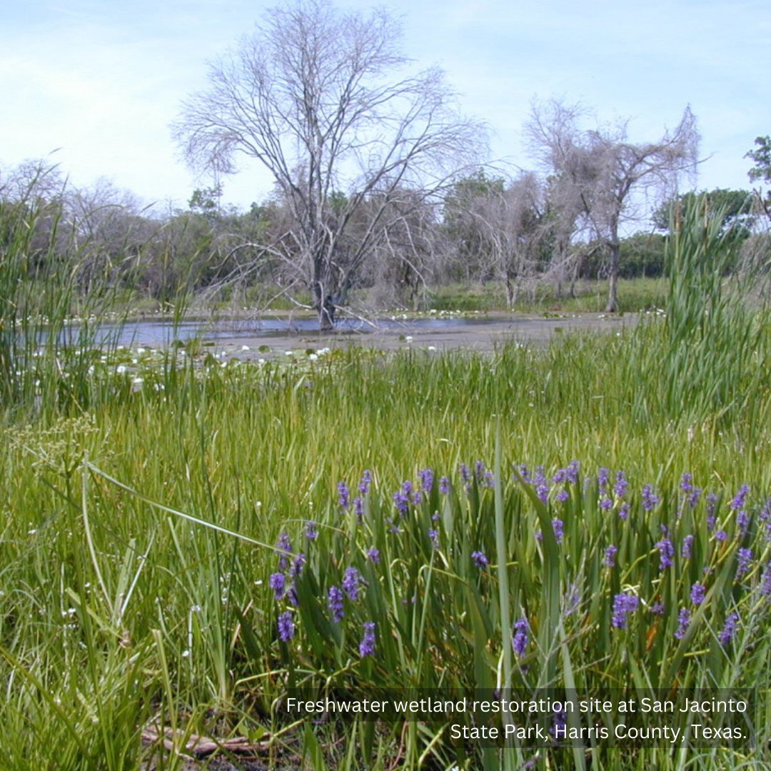 Texas ASLA (@texas_asla) on Twitter photo 