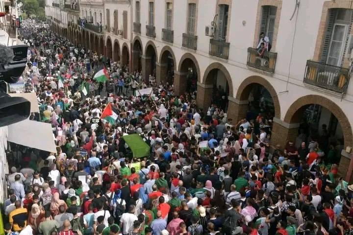 SaraReyi's tweet photo. Human flood in Algeria; In support of Gaza https://t.co/WFYmQfThN4