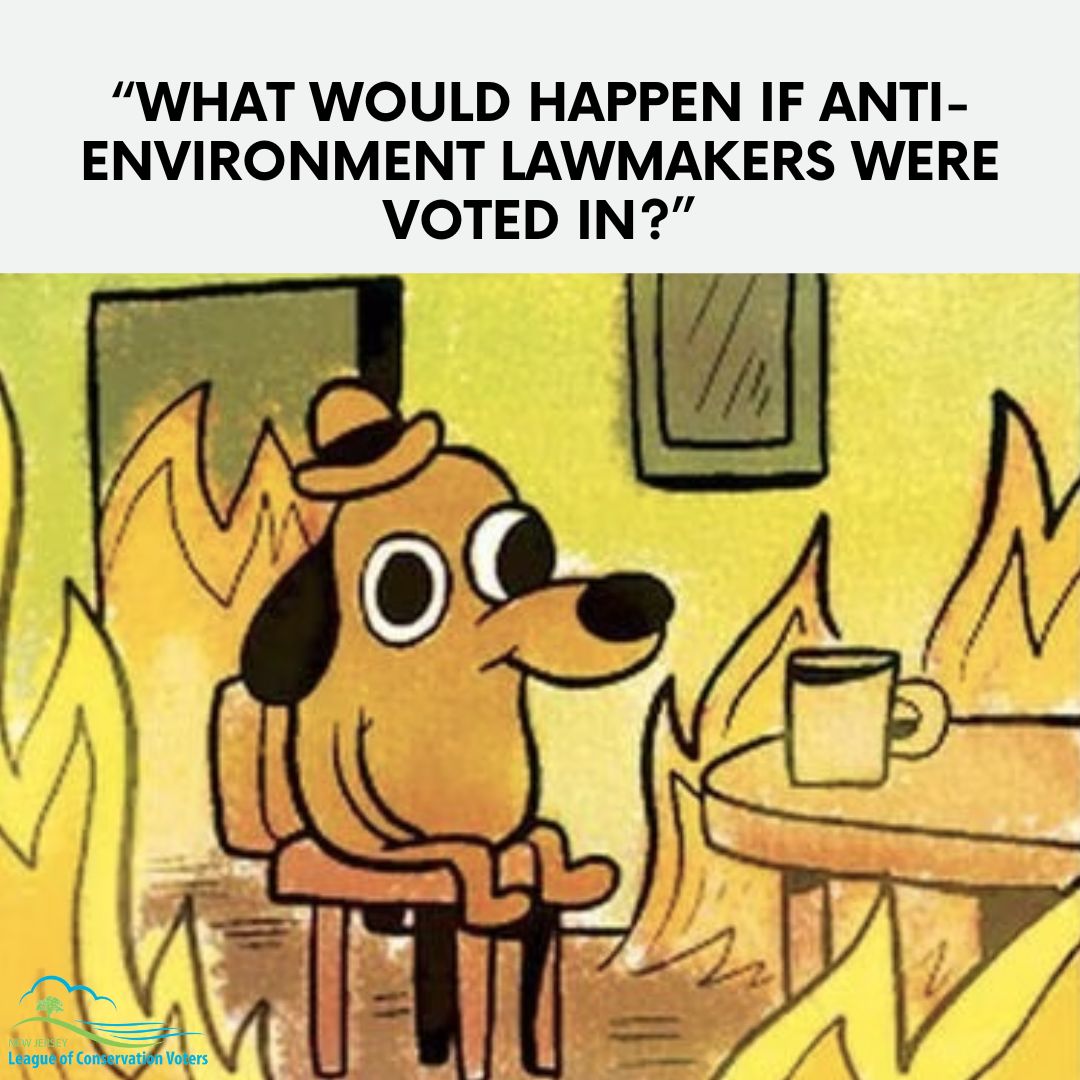 NJLCV's tweet photo. Anti-environment candidates put our community’s health and environment at risk. Let’s vote for candidates that care about us! #CleanEnergy #ProtectOpenSpaces https://t.co/WLKmBUIUYA