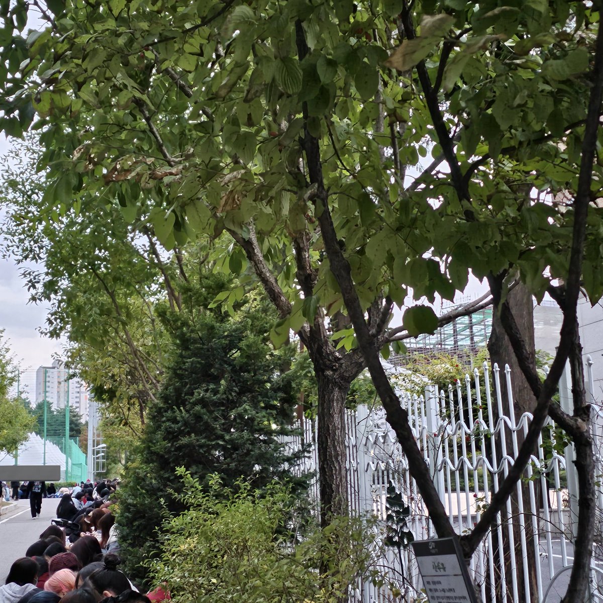 skycb97_'s tweet photo. Belum jam 7 antian md nya udh panjang banget 🫣 https://t.co/DTYthAj0Hx