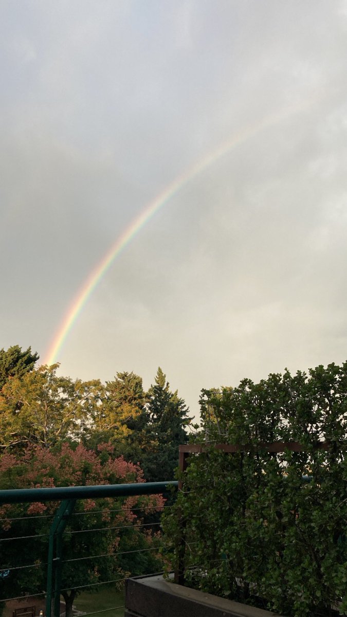 dpkenter's tweet image. 