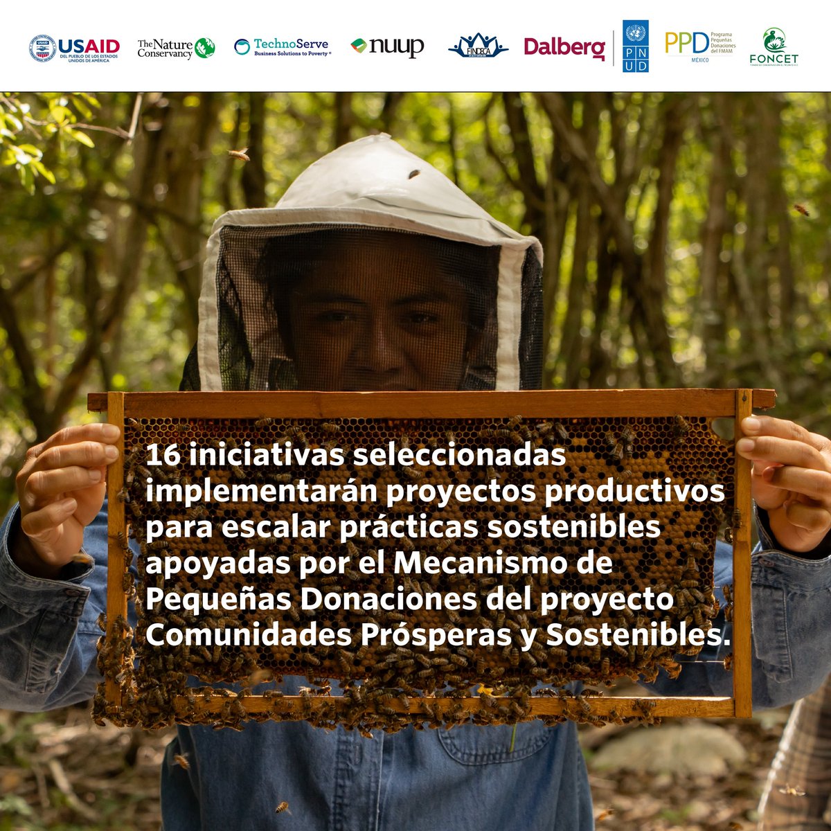 Mexico_TNC's tweet photo. 🌱🌟Compartimos las 16 iniciativas seleccionadas desde el Mecanismo de Pequeñas Donaciones del proyecto Comunidades Prósperas y Sostenibles para para impulsar el escalamiento de prácticas sostenibles, el acceso a mercados y a financiamiento.
https://t.co/0esX2tZkkZ https://t.co/fUGRLPehcL