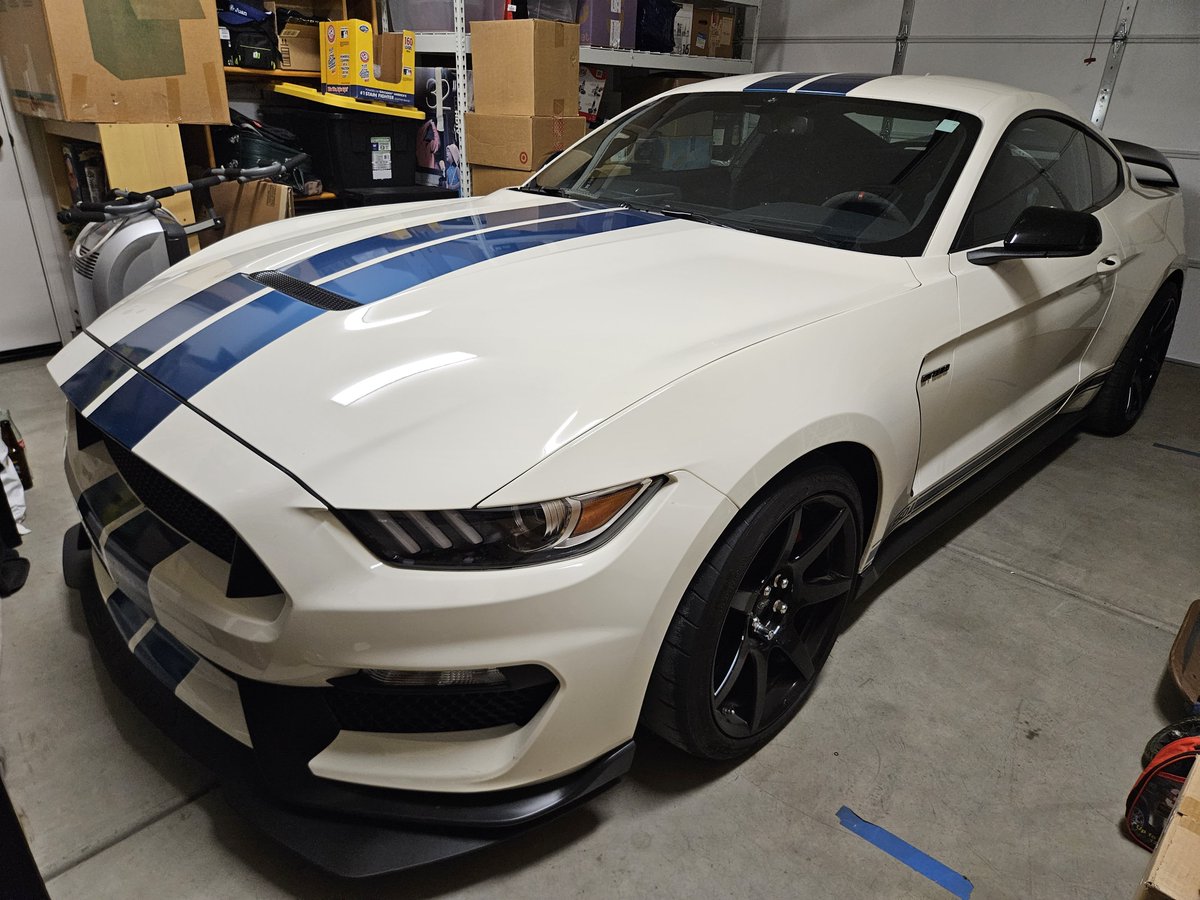 r01ssom's tweet photo. @takanashikiara Hello Kiara! This is me and my dad's precious baby, a Mustang GT350R Heritage Edition! And yes, I believe that this is technically a muscle car😃

This car is special to me because I learned how to drive a manual in it 🐣 cheers! #isthisamusclecar https://t.co/eiW5jEydGT