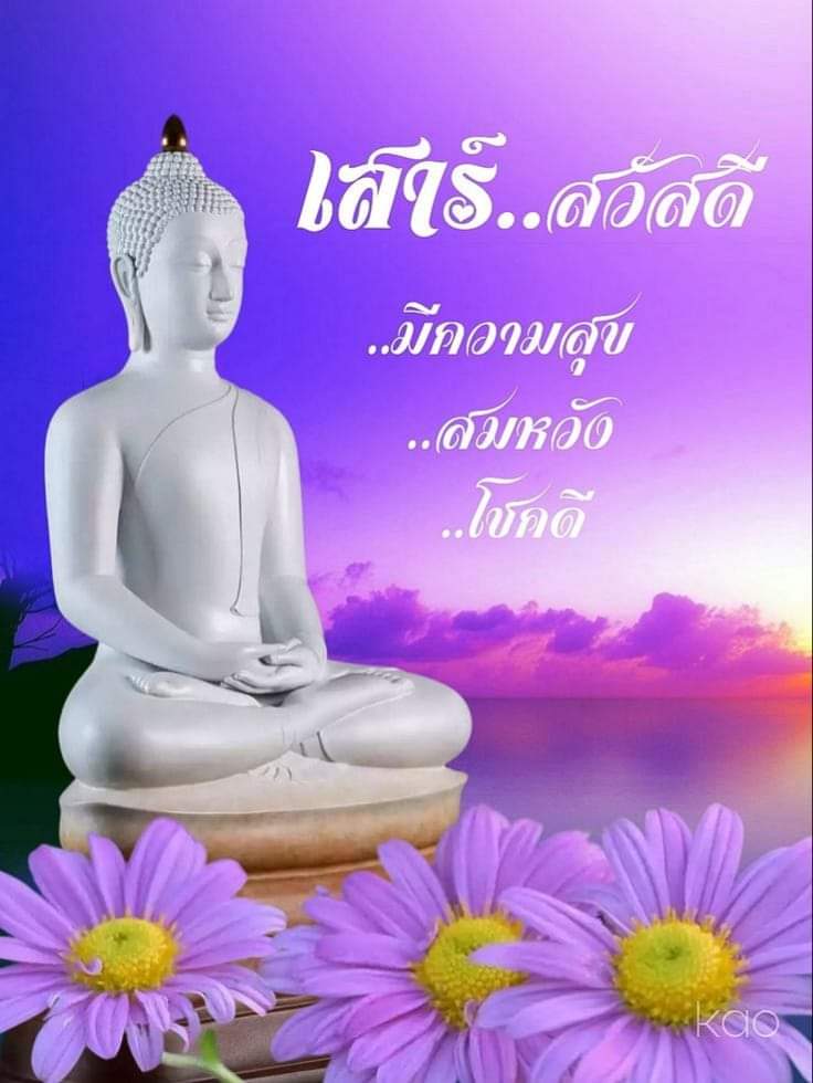 ✨คำคมที่บาดใจ มักมาจากใจที่บาดเจ็บ👌🏻 tweet media