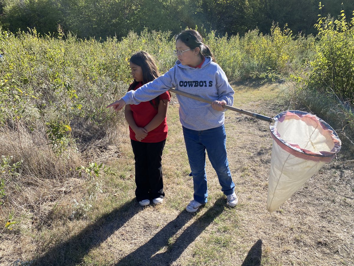 Catching insects at the Outdoor Learning Center! <a href="/LAV4thGrade/">LAV4thGrade</a> <a href="/CFB_OLC/">🌳TheOutdoorLearningCenter🌳</a> <a href="/LaVillitaElem/">La Villita Elementary School</a>