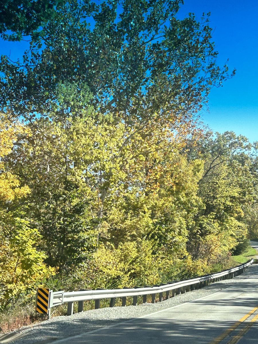 Irrelevant6337's tweet photo. @gigafunk They’re beautiful!! My drive-by pictures on the way to Springfield with Kenny. The colors are phenomenal here!! https://t.co/SxVv1da3wN