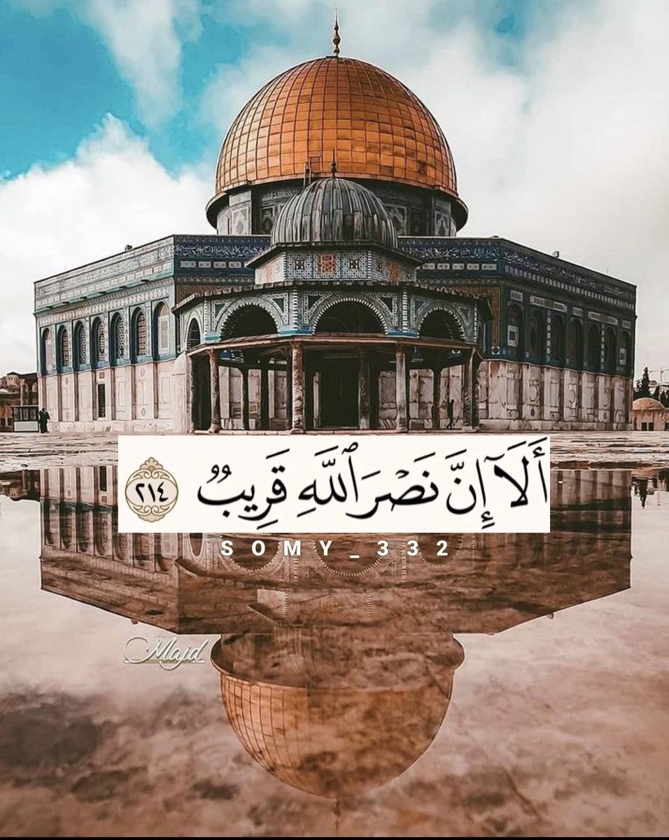 Mohamed Salama tweet media