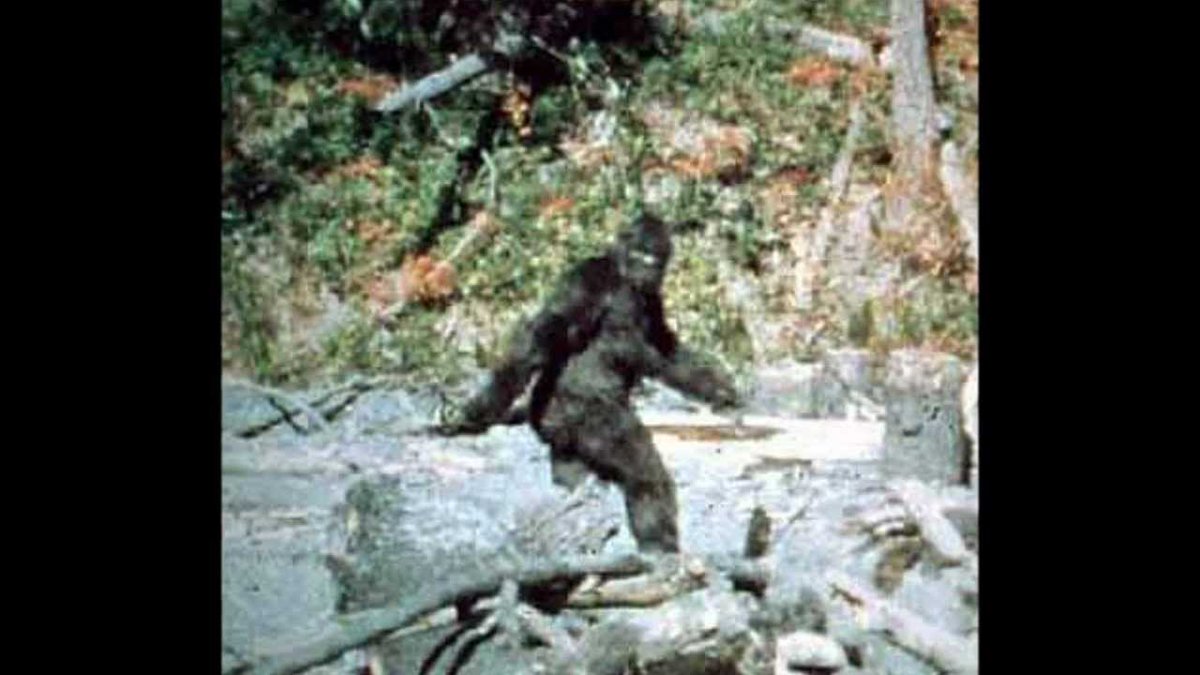Arcane_Bimmer's tweet photo. 56 years ago today this large lady took a stroll in front of two cowboys that had a film camera. https://t.co/J18dg0ozx2