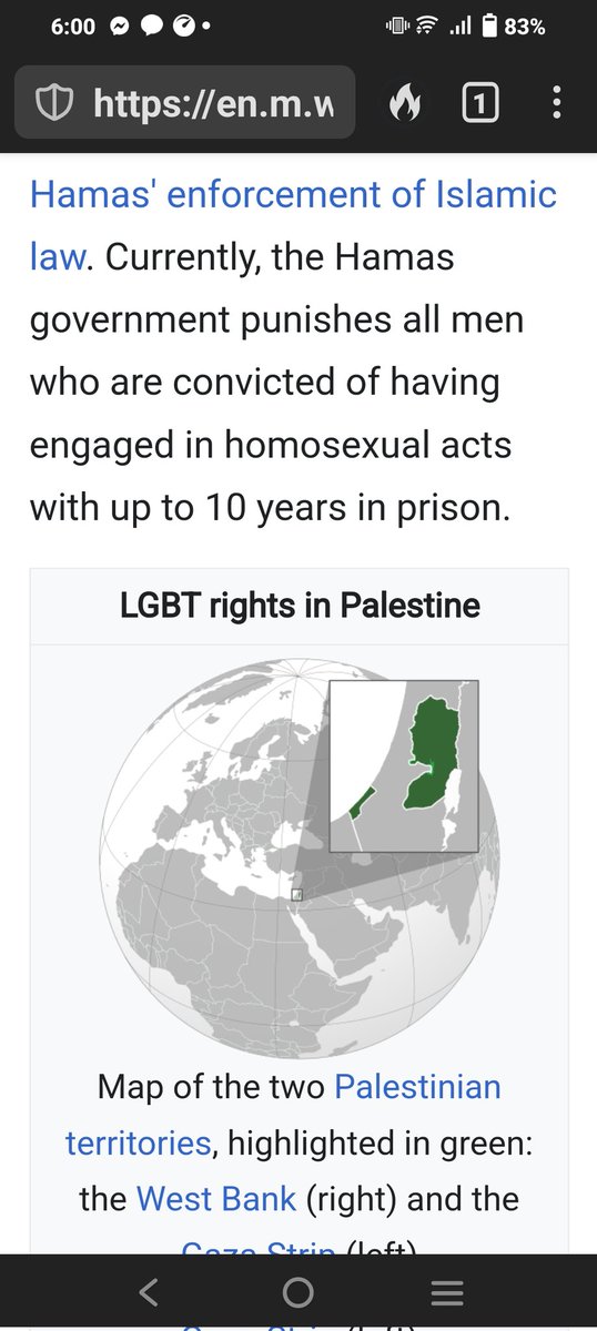 RobRobburrow03's tweet image. I have family that r LGBTQ,I DONT push my beliefs on them and visa versa,but those supporting Palestine should know that there laws imprison gays up to 10 years,see below ,fact check, so as a neutral person I warn you,be careful what you wish for, #Palestinian #Lqbtq