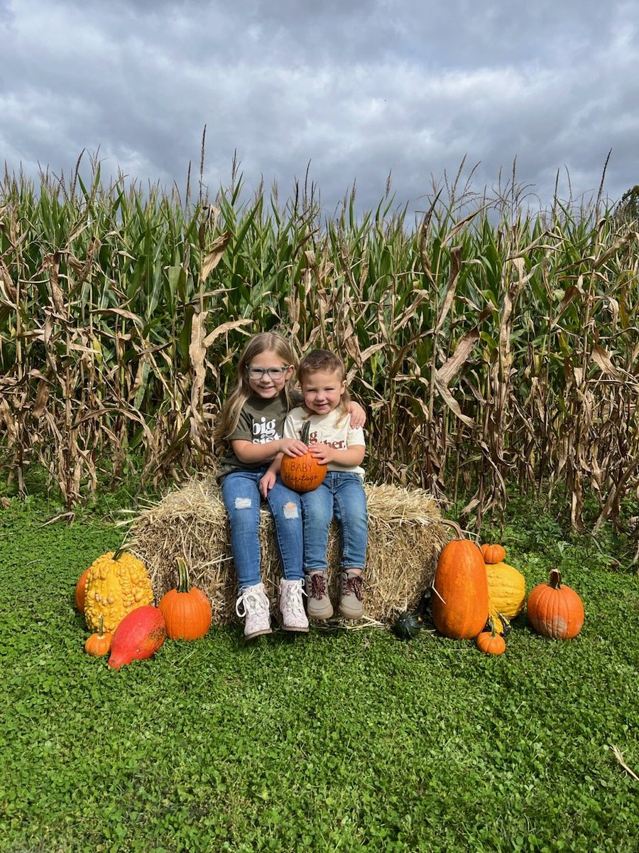 Jesse096230's tweet image. Reagan and Riley are excited to announce that another little pumpkin is being added to the Heritage patch! 🧡

#baby3 #heritagepartyof5 #springbaby #siblings #outnumbered