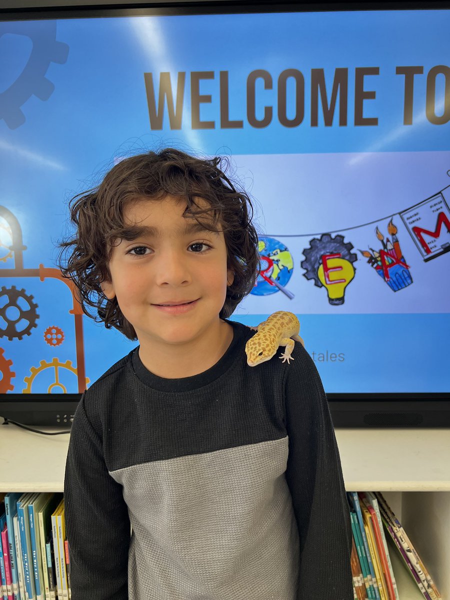 GCSD_STREAM (@gcsd_stream) on Twitter photo Meet our <a href="/GCSD_Gribbin/">GCSD Gribbin School</a> School leopard gecko named Treeko! Did you know leopard geckos store fat in their tails? They are nocturnal reptiles who can lick their own eyes to clean themselves. #STEMeducation #sparkingcuriosity Meet our <a href="/GCSD_Gribbin/">GCSD Gribbin School</a> School leopard gecko named Treeko! Did you know leopard geckos store fat in their tails? They are nocturnal reptiles who can lick their own eyes to clean themselves. #STEMeducation #sparkingcuriosity