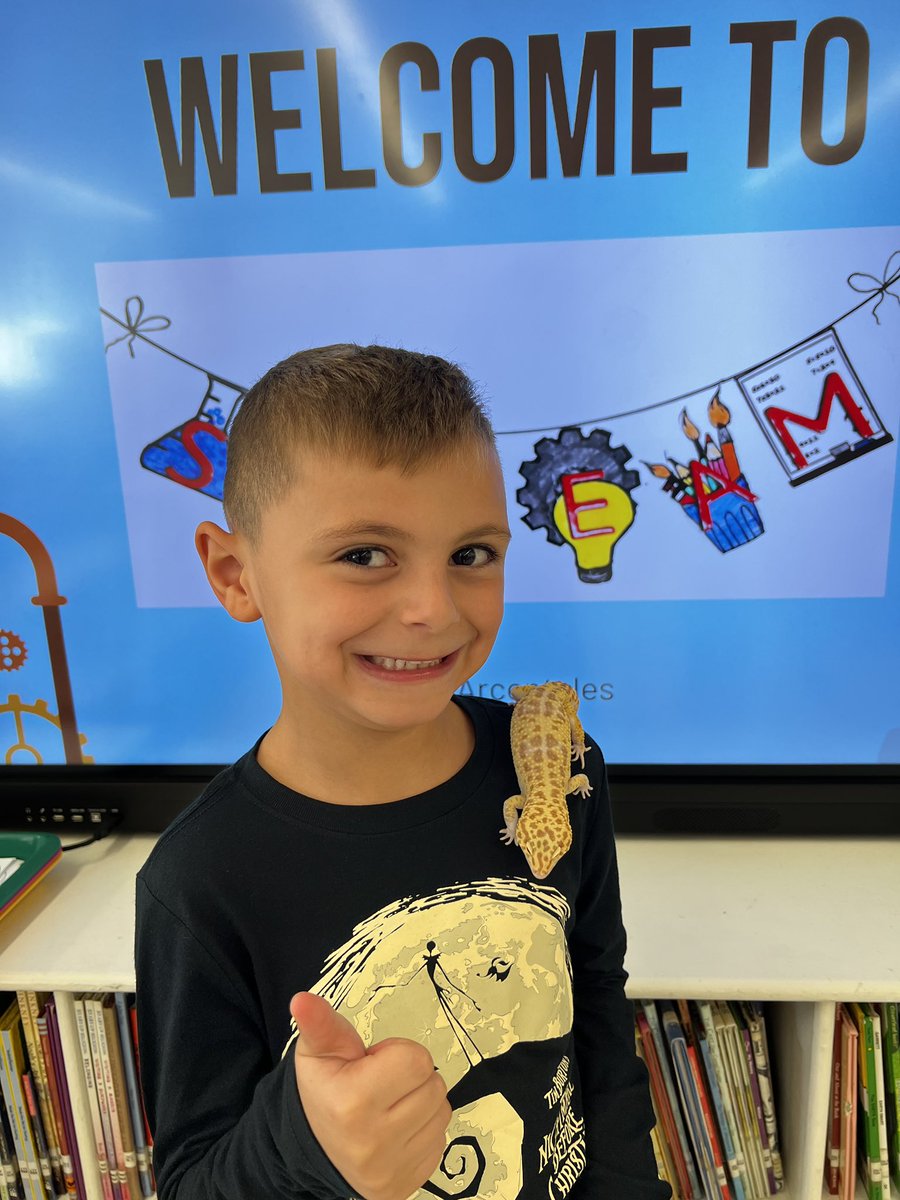 GCSD_Stream's tweet image. Meet our @GCSD_Gribbin School leopard gecko named Treeko! Did you know leopard geckos store fat in their tails? They are nocturnal reptiles who can lick their own eyes to clean themselves. #STEMeducation #sparkingcuriosity
