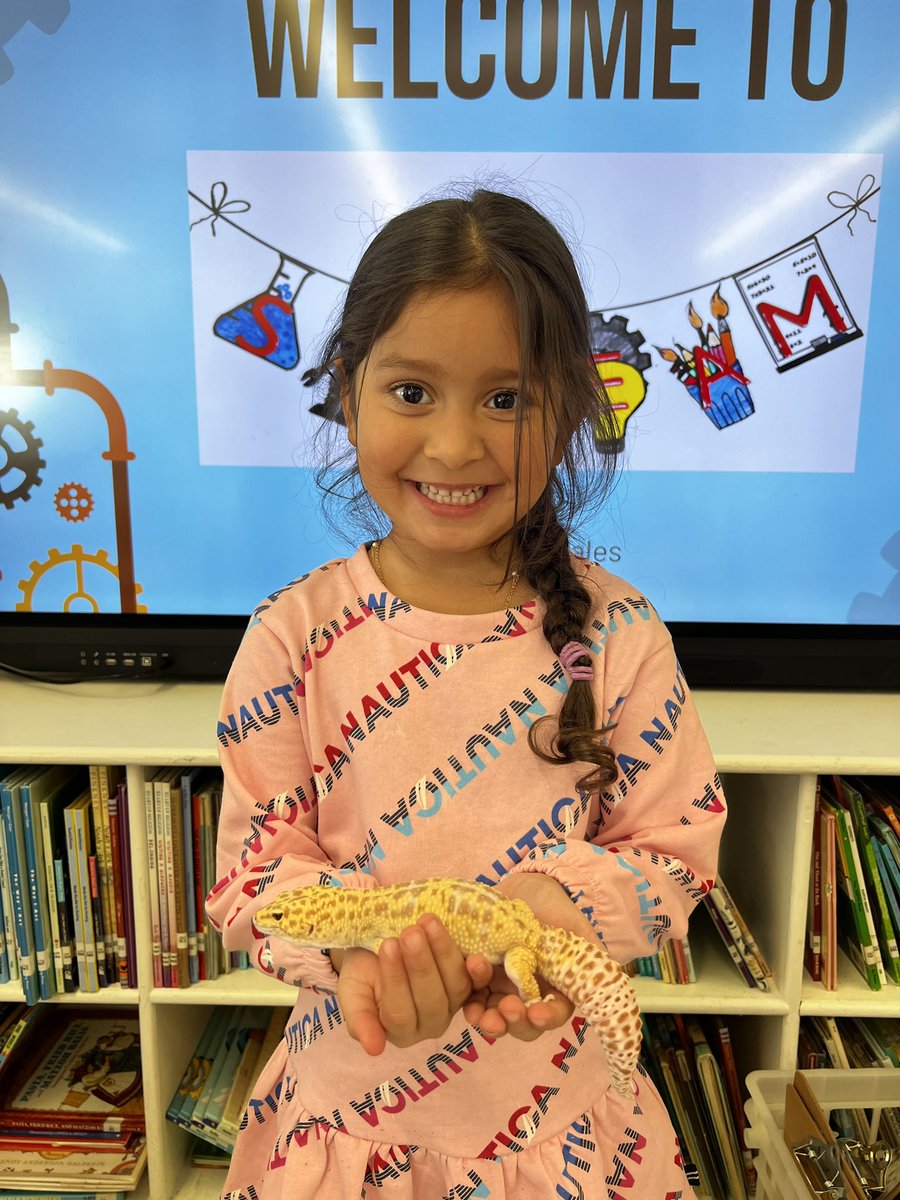 GCSD_Stream's tweet image. Meet our @GCSD_Gribbin School leopard gecko named Treeko! Did you know leopard geckos store fat in their tails? They are nocturnal reptiles who can lick their own eyes to clean themselves. #STEMeducation #sparkingcuriosity