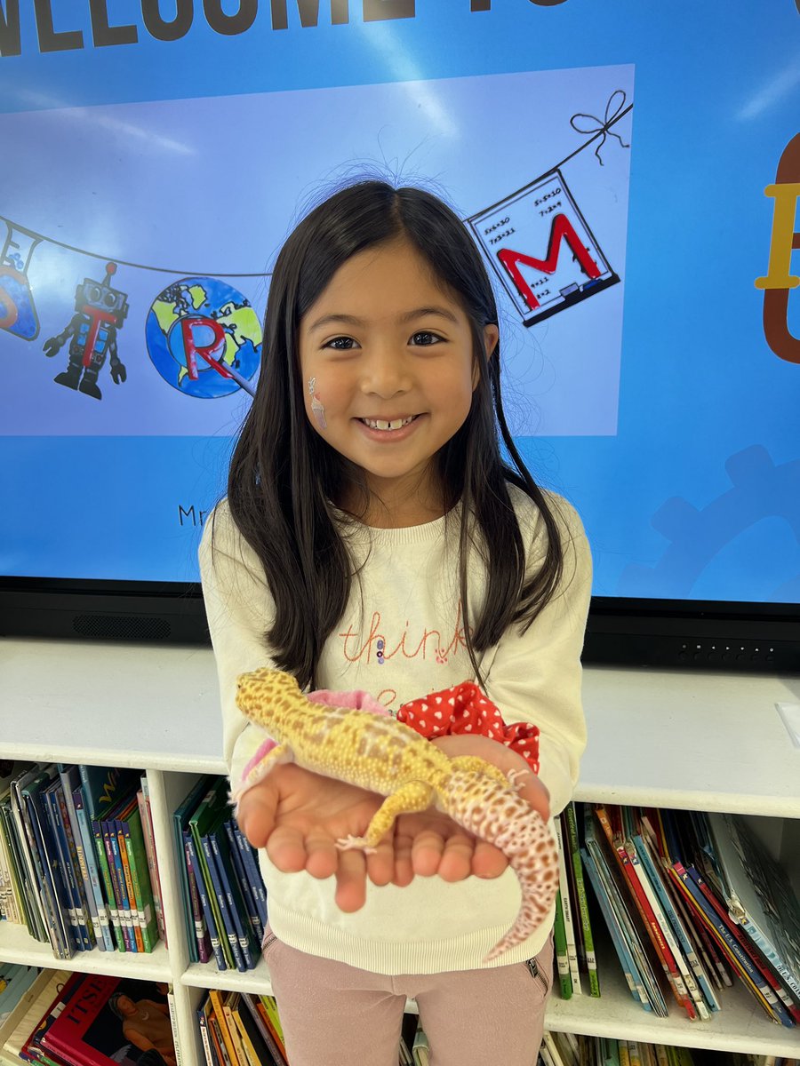 GCSD_Stream's tweet image. Meet our @GCSD_Gribbin School leopard gecko named Treeko! Did you know leopard geckos store fat in their tails? They are nocturnal reptiles who can lick their own eyes to clean themselves. #STEMeducation #sparkingcuriosity