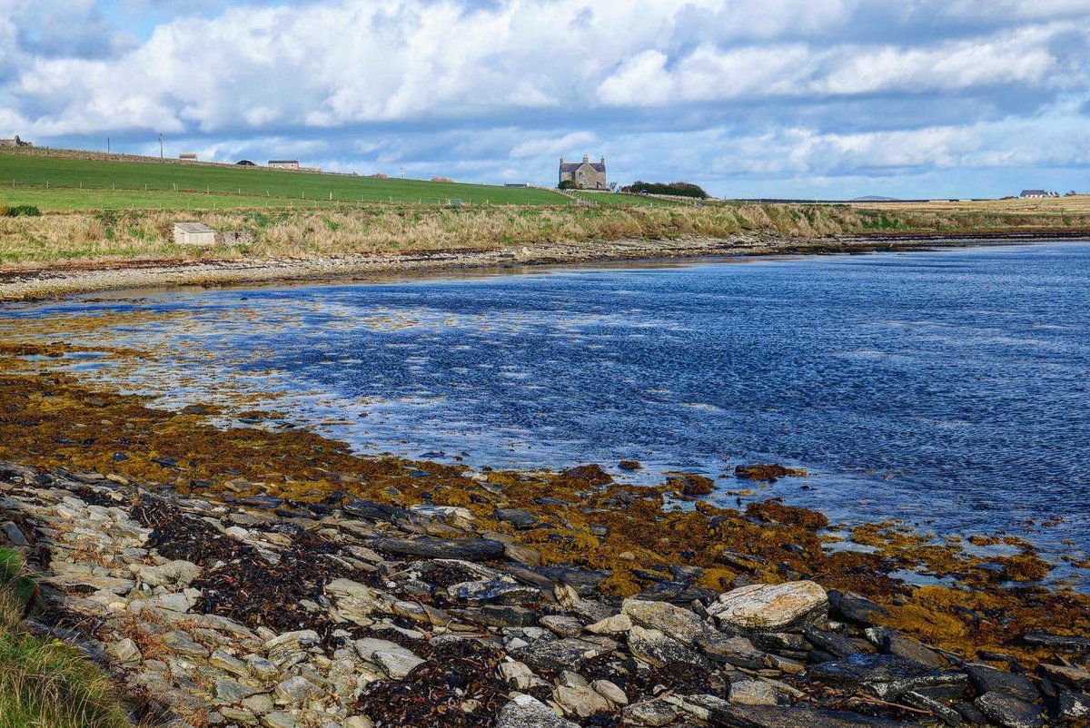 Ross_in_Orkney's tweet image. 📸 Photos from last Sunday’s walk around the coast of the #Orkney island of #Flotta. ❤️