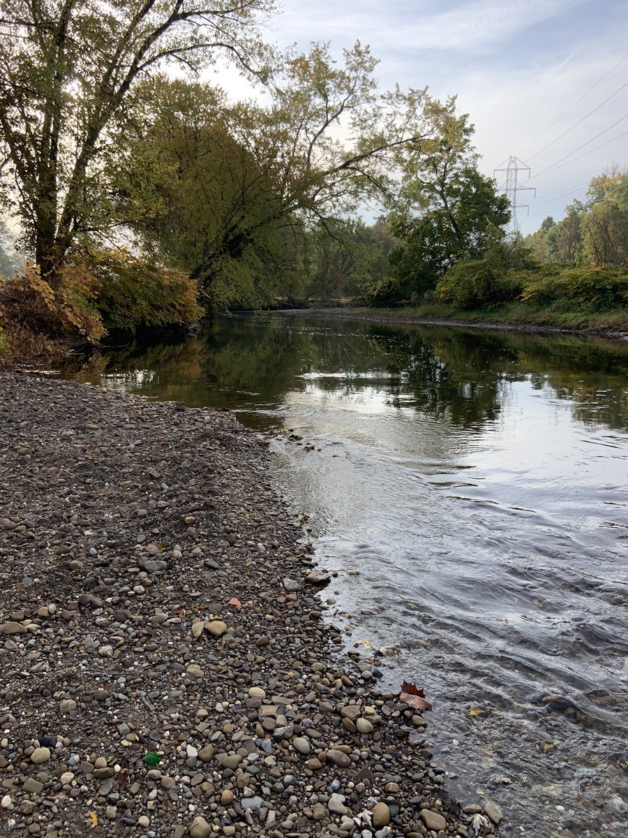 west_creek's tweet photo. Wrapping up 50+ acres of restoration along the #Cuyahoga thx to our partners @petroshomes &amp; support from #CleanOhio Ohio Public Works Commission &amp; @ohiodnr #H2Ohio 
#ProtectRestoreConnect https://t.co/cI0y9Zl7Q6