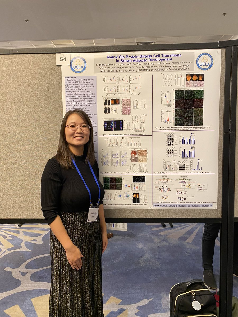 UCLA Vascular Biology Lab tweet media