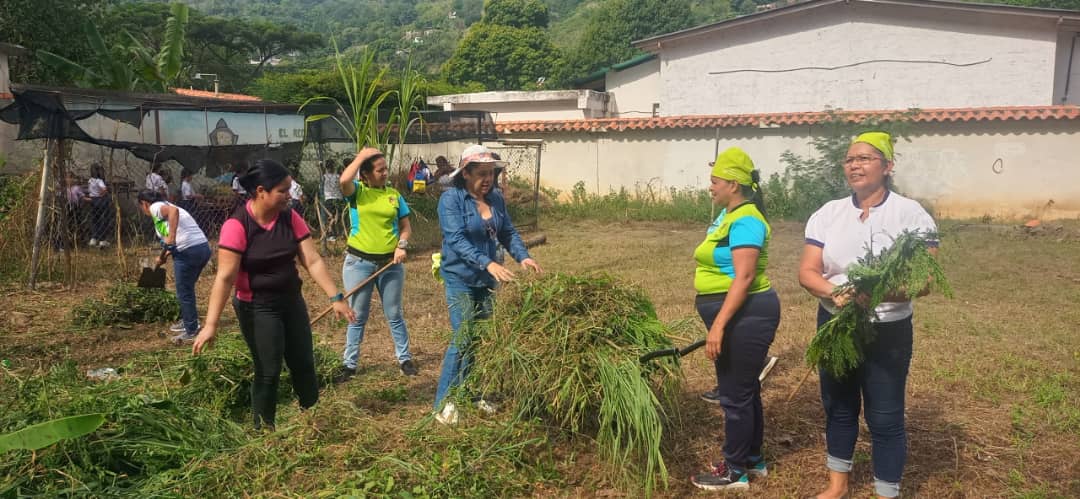 PtmsTrujillo's tweet photo. 20 Octubre, desde el conuco escolar Carlos Lanz de escuela Rosario Almarzarealizó plan cayapa con 11 instituciones de la parroquia matriz municipio Trujillo #trujilloproductivo @_LaAvanzadora @NicolasMaduro @cdcetrujillo @Gerardo4fPsuv @Twitera74 https://t.co/6DXIxgPYB4