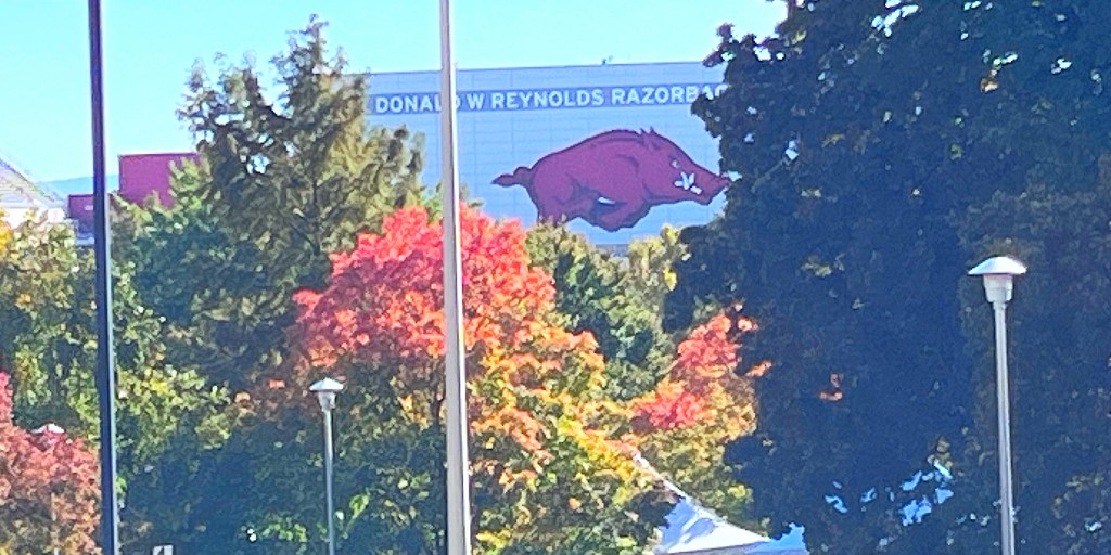 Happy Homecoming weekend! Wherever you are, don't forget to call those hogs! #WPS