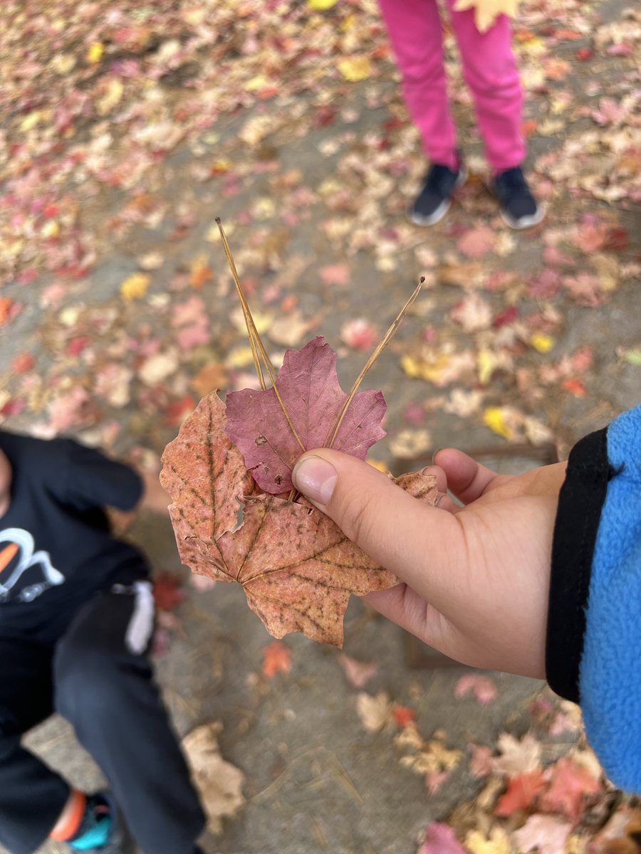Friday walks in the forest with 5/6A! 🍂🍁
