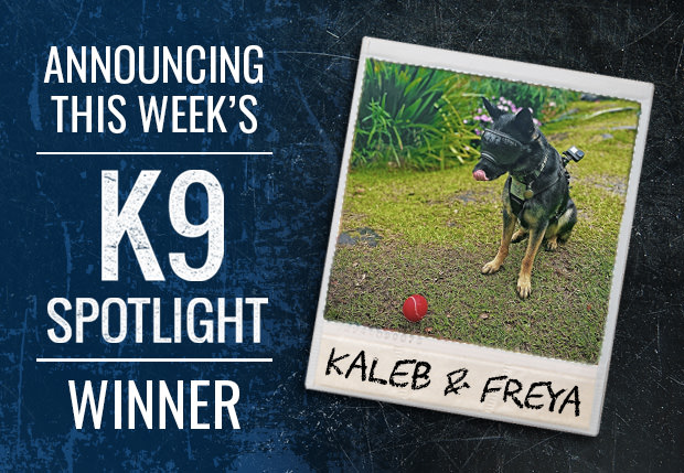 Congratulations to Kaleb Fontenot &amp; Freya!

Winner of 3,000 Points and featured in this week's K9 Spotlight.
⁠
Check out their story in our latest blog post. Also, don't forget to submit your K9 Spotlight for a chance to be featured. 

Learn More: rayallen.com/blog/k9-spotli…