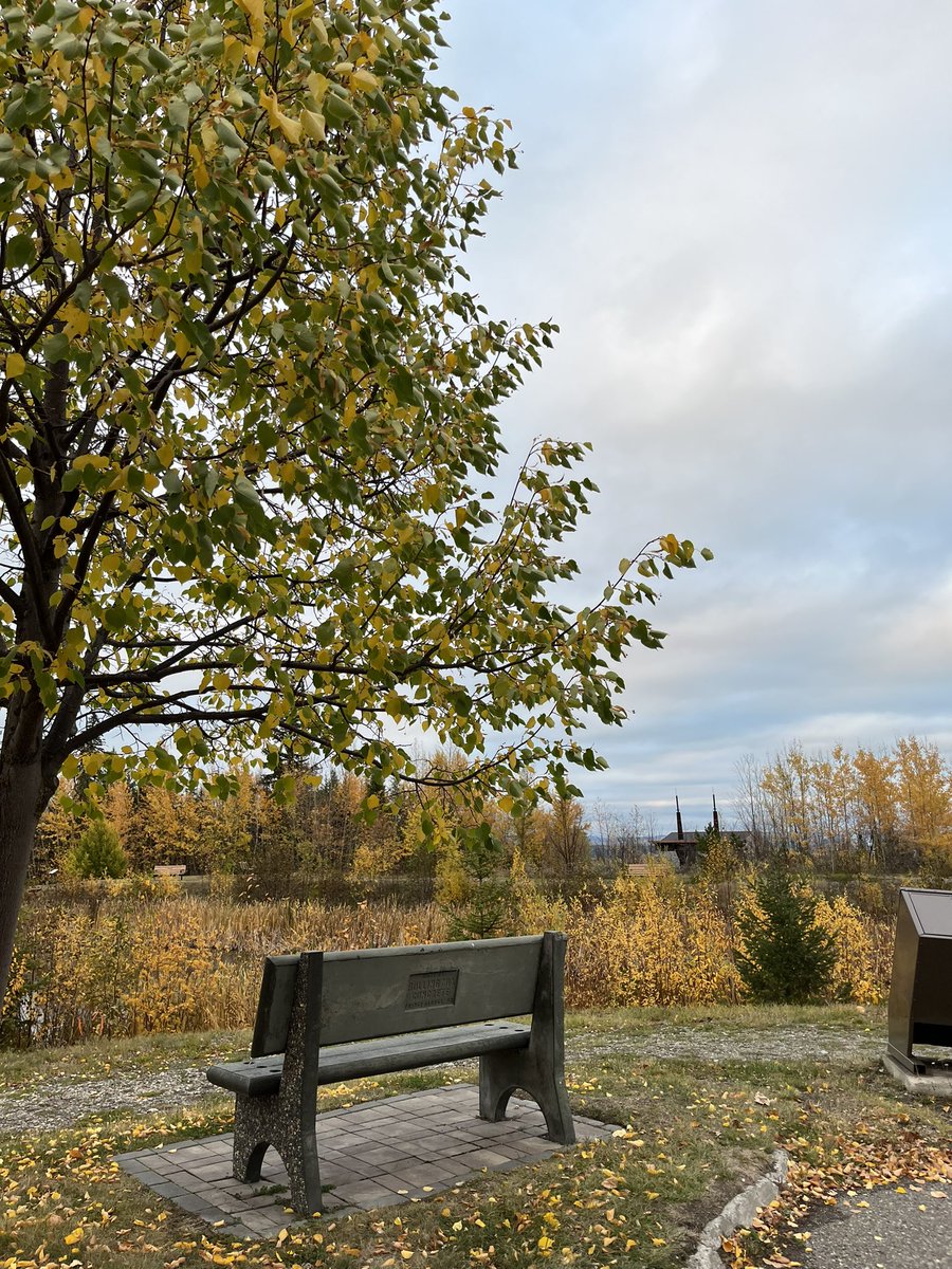 UNBCAdvising's tweet photo. Hoping you get a chance to sit and take in some of this gorgeous fall weather this weekend! #colderdaysarecоming #thisisUNBC https://t.co/vqI6dEjVhq