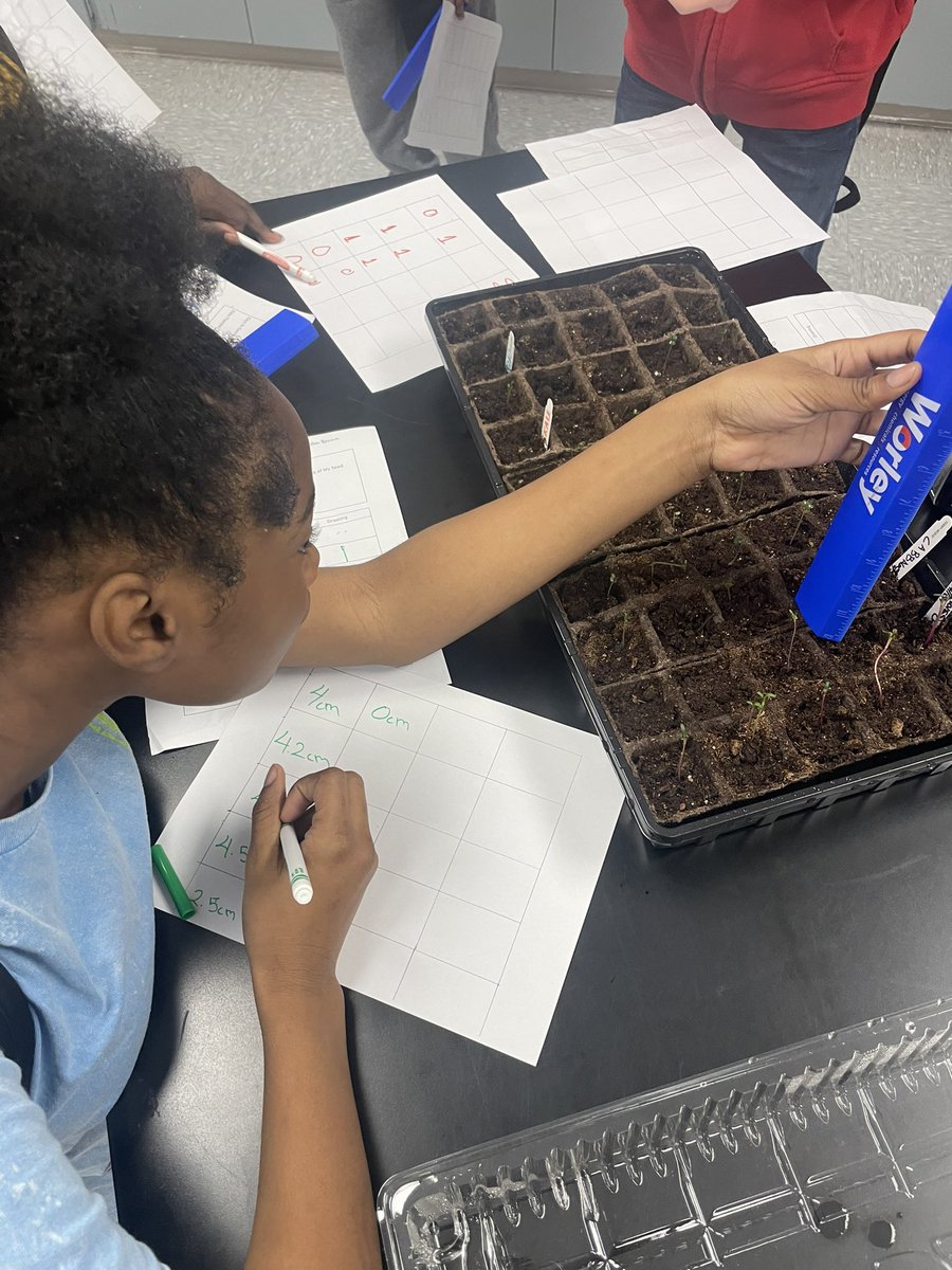 MagnetatDrew's tweet photo. Our Global Scholars @Drew_AISD love seeing the progress of their work! They’re learning about the math and science that goes into gardening. Soon we’ll have these herbs and vegetables in the ground! #progress #excellencetodaysuccesstomorrow https://t.co/d8Q4cTHYBV