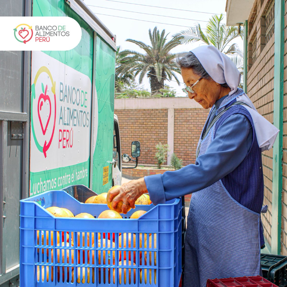 Banco de Alimentos Perú tweet media