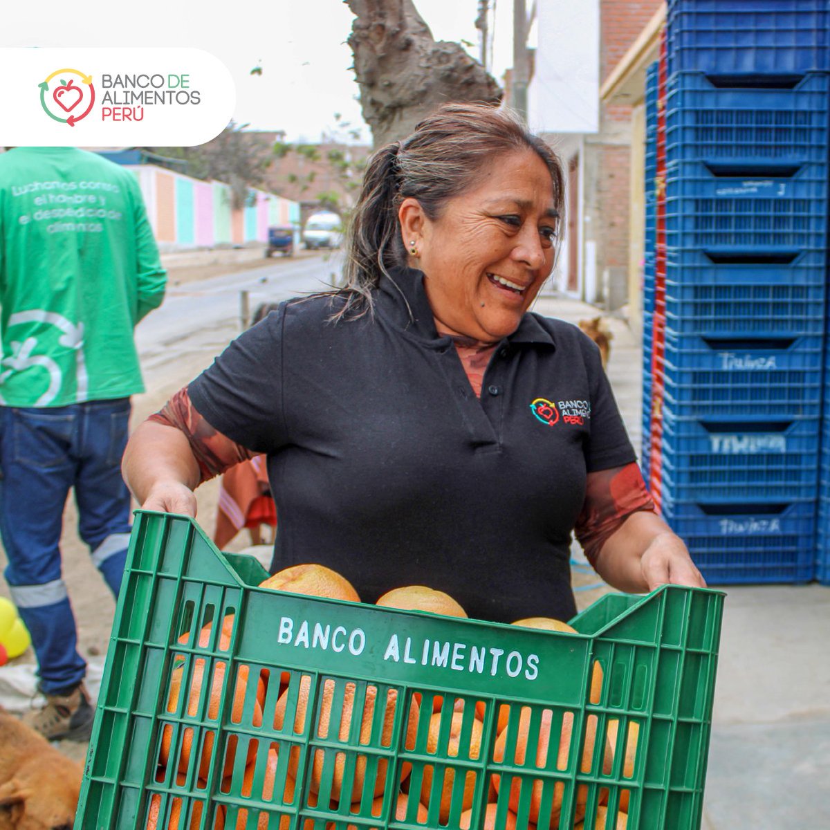#Alimentatón2023 | 🚛¡Continuamos repartiendo las donaciones hechas a la Alimentatón!
👉🏻Esta vez, acompañamos un día a nuestro equipo de distribución a repartir alimentos a  7 diferentes  organizaciones sociales en Puente piedra.

💚Desliza para saber más.