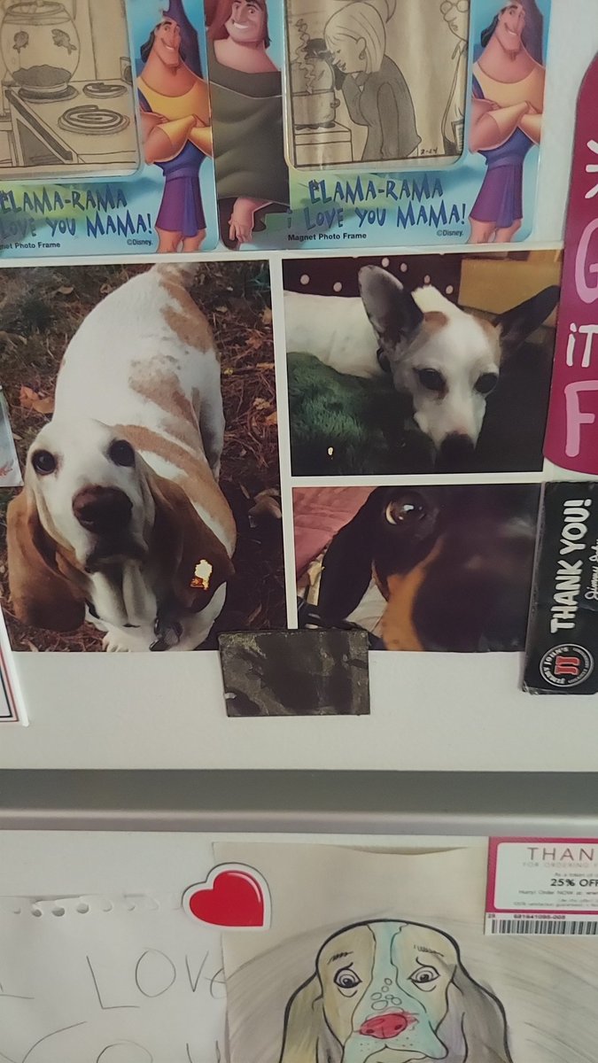 redmenace152's tweet photo. @Gusterbear I see all 3 of them, everytime I walk into the kitchen! https://t.co/KDOgFXBw4d