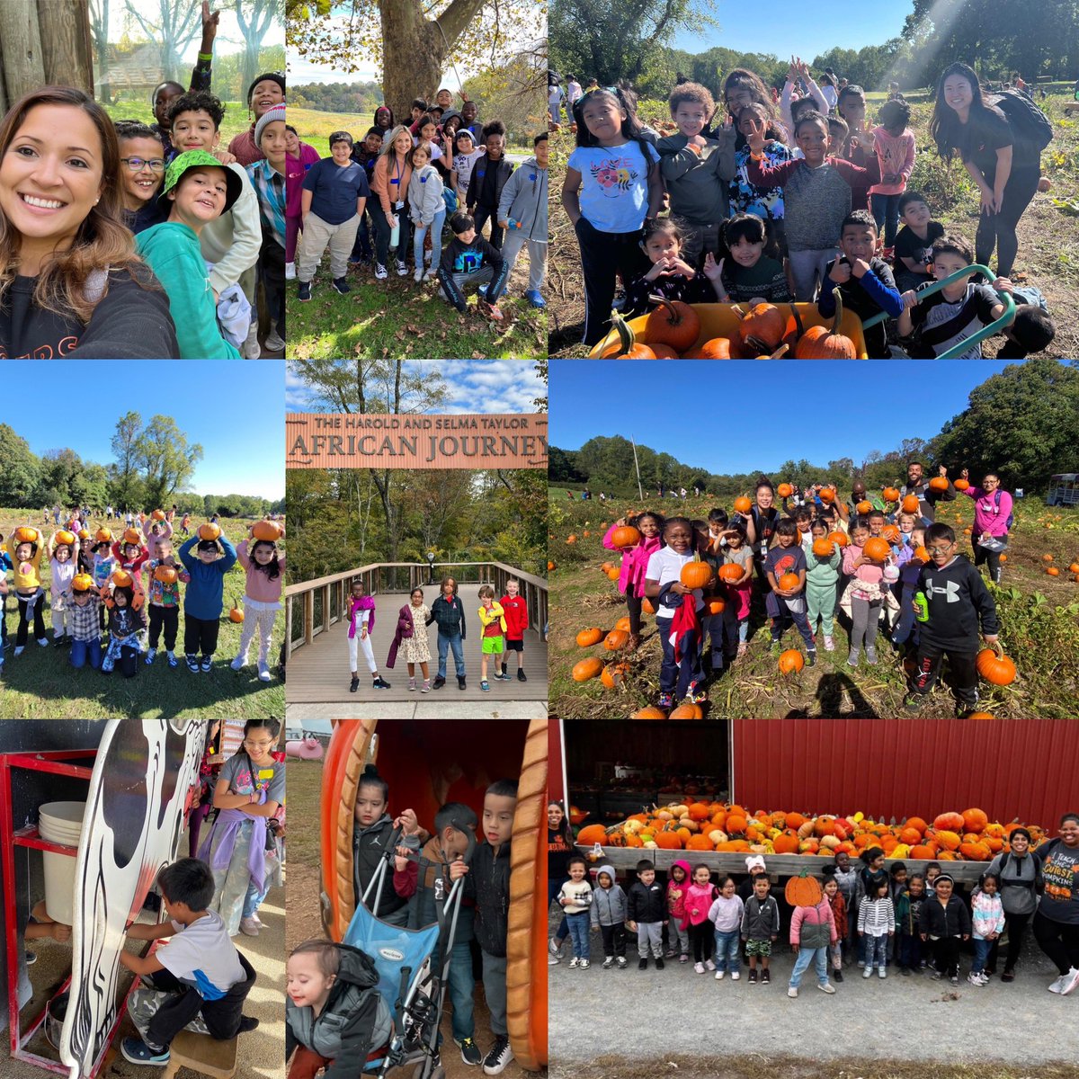 HarrietTubmanES's tweet photo. This past week, we’ve had out of school trips for PreK, PEP, 1st, 2nd, 4th grades, and ES Autism! Extraordinary collaboration by our staff to create these experiences for our students! #tigerpride 🐅💙🧡 https://t.co/puXxnJhO5z