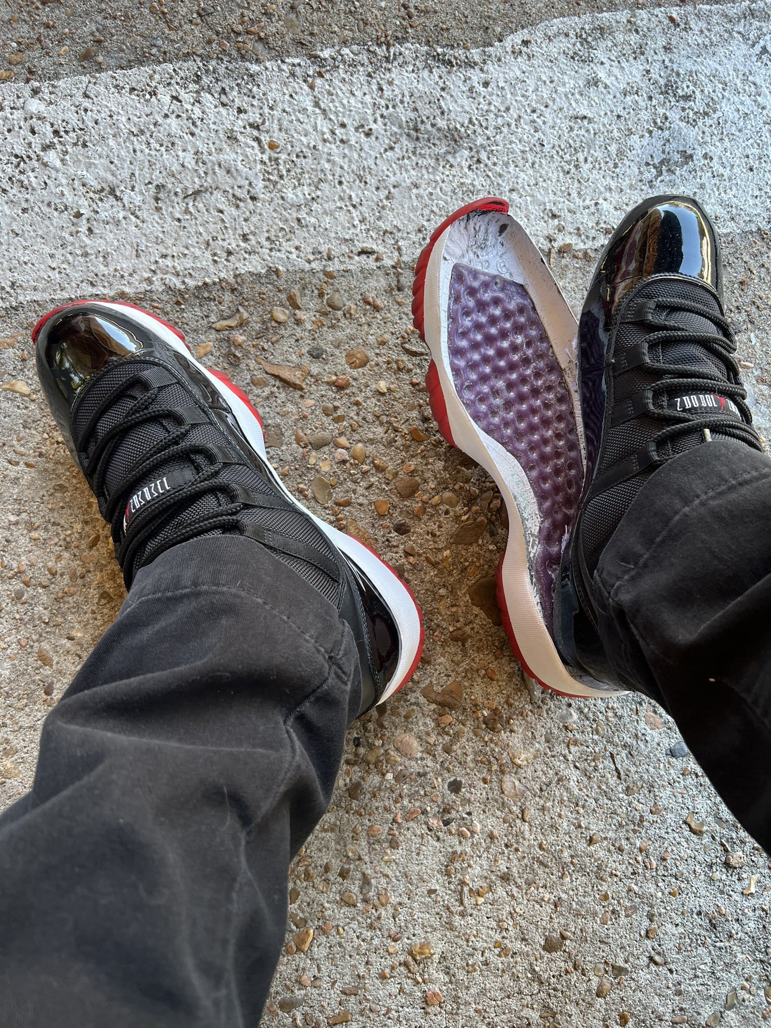 bred 11's on feet
