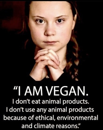 veganfuture's tweet photo. https://t.co/hWfgTdJEhU