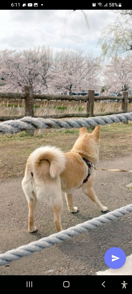 chi08011231's tweet photo. #茨城県　#かすみがうら市　#カスミ　見かけた方いませんか？ https://t.co/ninW25NrU0