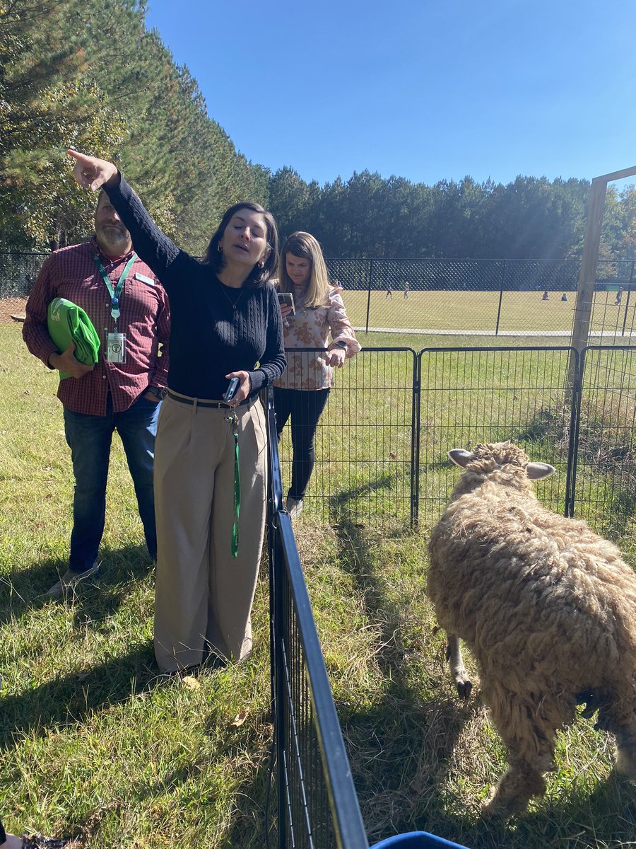 Mr. Moore tweet media