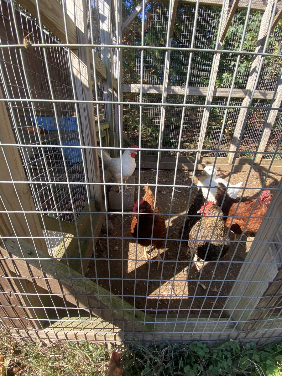 Mr. Moore tweet media