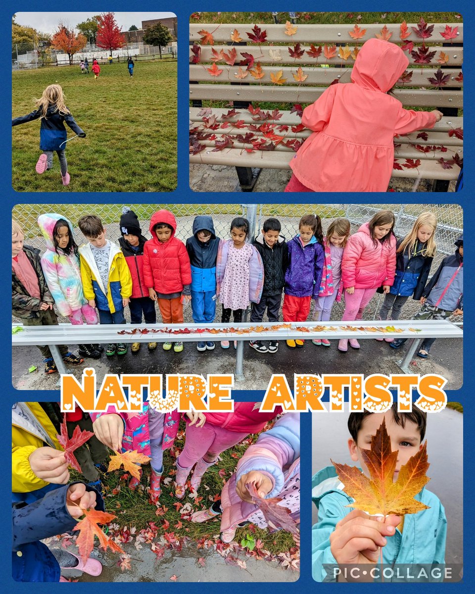 We barely noticed the 🌧️ this afternoon with the abundant fall beauty <a href="/TDSBWilkinson/">Wilkinson Junior Public School</a>! We found bright colours &amp; were inspired to be nature artists who hope our display brightens your day!  🍂🍃🍁🌿 #outdoorlearning