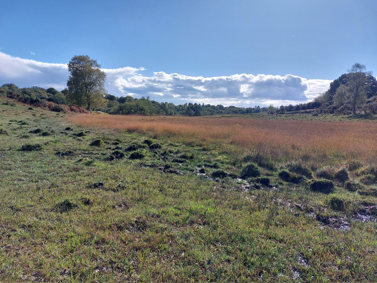 Commoning Family tweet media