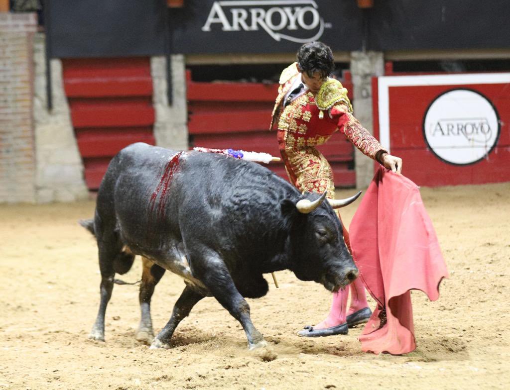 José Arroyo
Mi chavo
418 kg

Emiliano Osornio: ha estado con ganas de agradar y voluntarioso ante Mi Chavo de Jose Arroyo, el cual fue reservón, mata de certero golpe de descabello para escuchar palmas y asi poner punto y final a su encerrona.