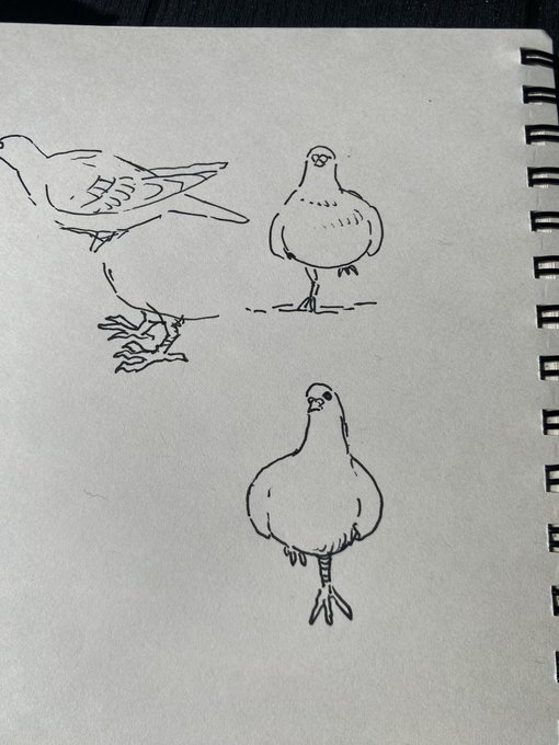はと