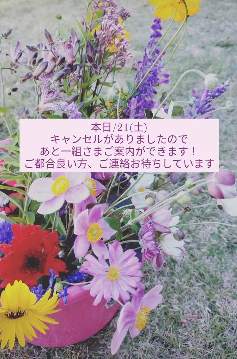 commedhabitude_'s tweet photo. 2023/10/21(土)
17:30-20:30(L.O)22:30close
栃木県小山市東城南5-23-36
0285506320
BISTOROT Comme d'habitude
ビストロ コムダビチュード
#シェーヴルショー #chevrechaud #栃木県小山市 #フランス料理 https://t.co/2lsyYop88I