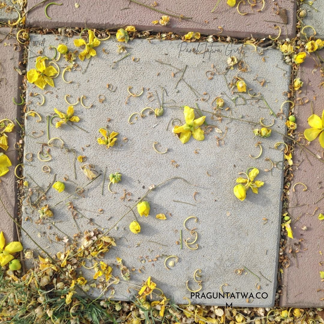 PrachiTatwa's tweet photo. Autumn
Amaltas
Attractive
Amazing
There is something about these vibrant yellow flowers. The golden shower tree gives some beautiful pics even when they fall on the ground.
#amaltas #goldenshower #goldenflowers #goldenshowertree #amaltastree #amaltasflowers #octoberflowers https://t.co/bFfqvYSee7